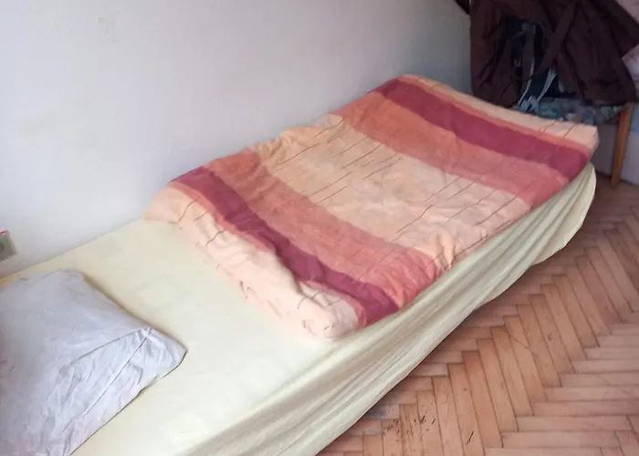 Flat 18 Minutes From Vaclavske Namesti