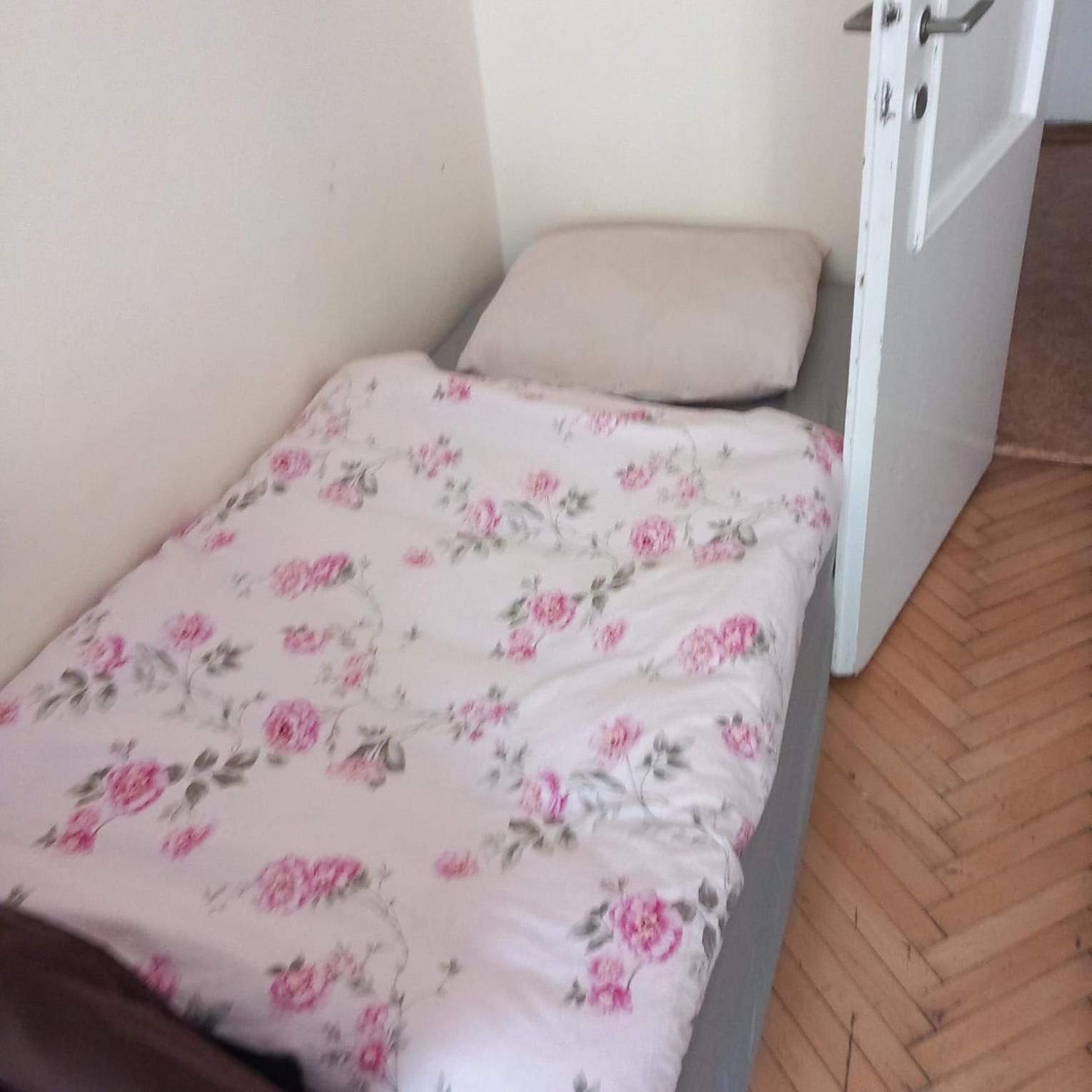 Flat 18 Minutes From Vaclavske Namesti Praha
