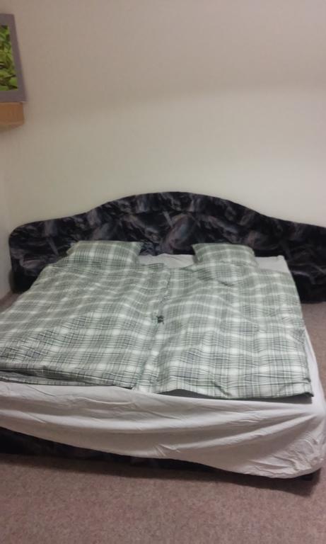 Проживання в сім'ї Flat 18 Minutes From Vaclavske Namesti